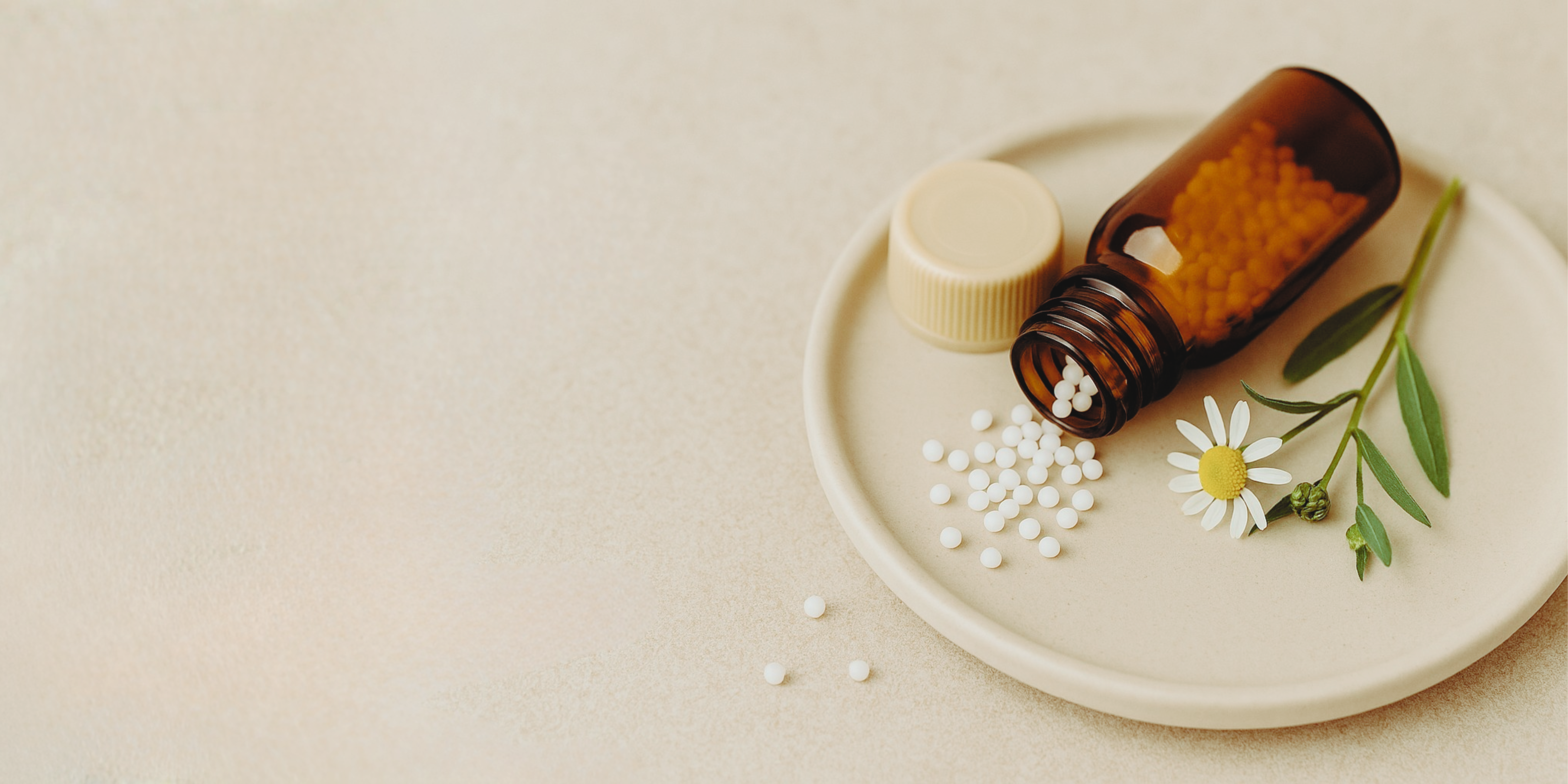 Wie die sanfte Medizin Körper und Geist ins Gleichgewicht bringt