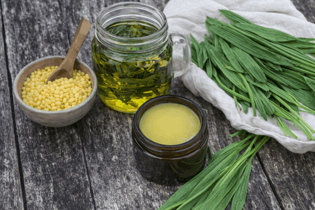 Spitzwegerichsalbe herstellen